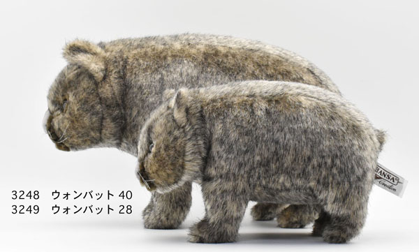 ウォンバット 40 | HANSA