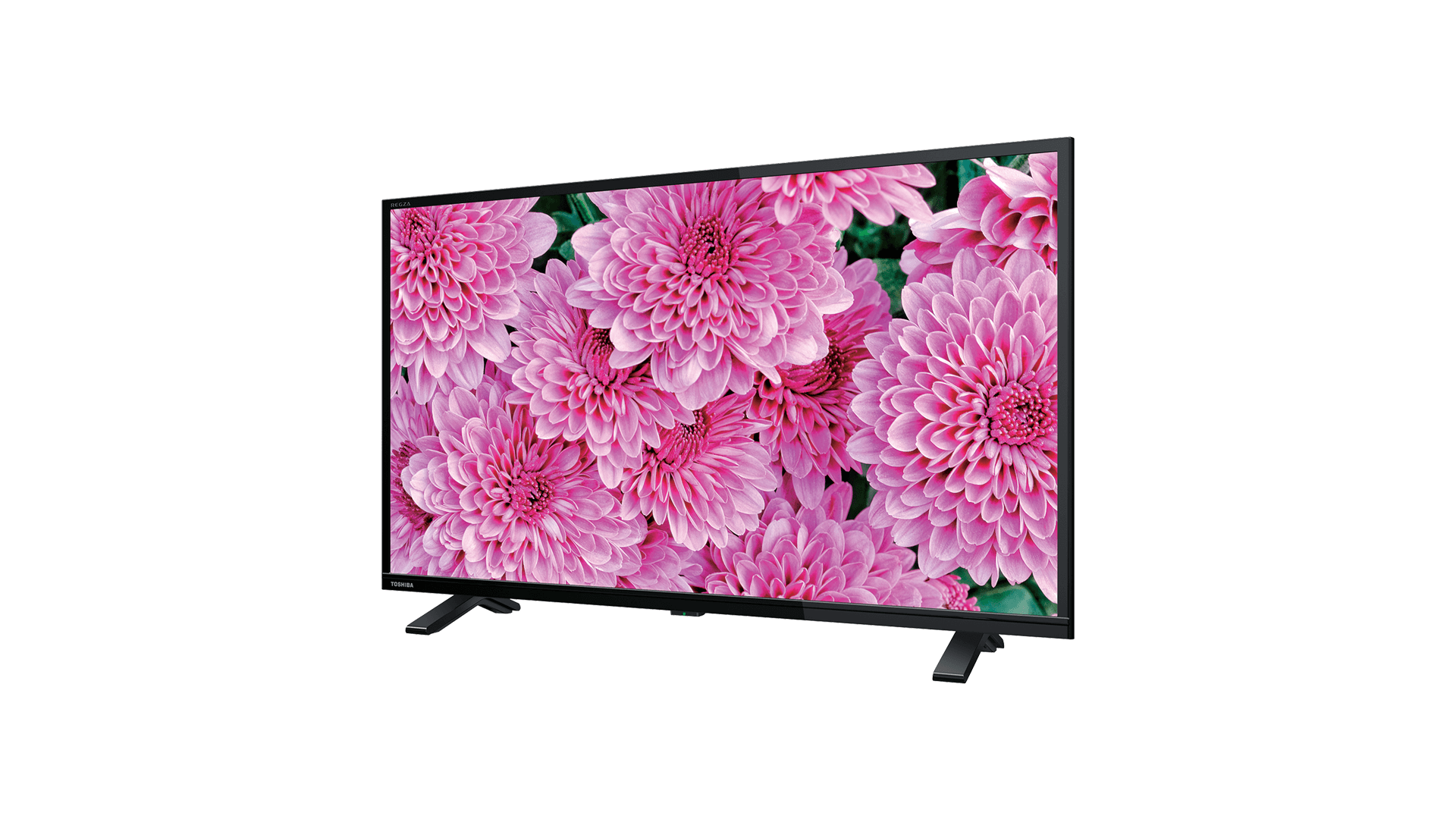 TOSHIBA REGZA 液晶テレビ 32S24 32型 2021年製 TOSHIBA REGZA 液晶テレビ 32S24 32型 2021年製 REGZA（レグザ