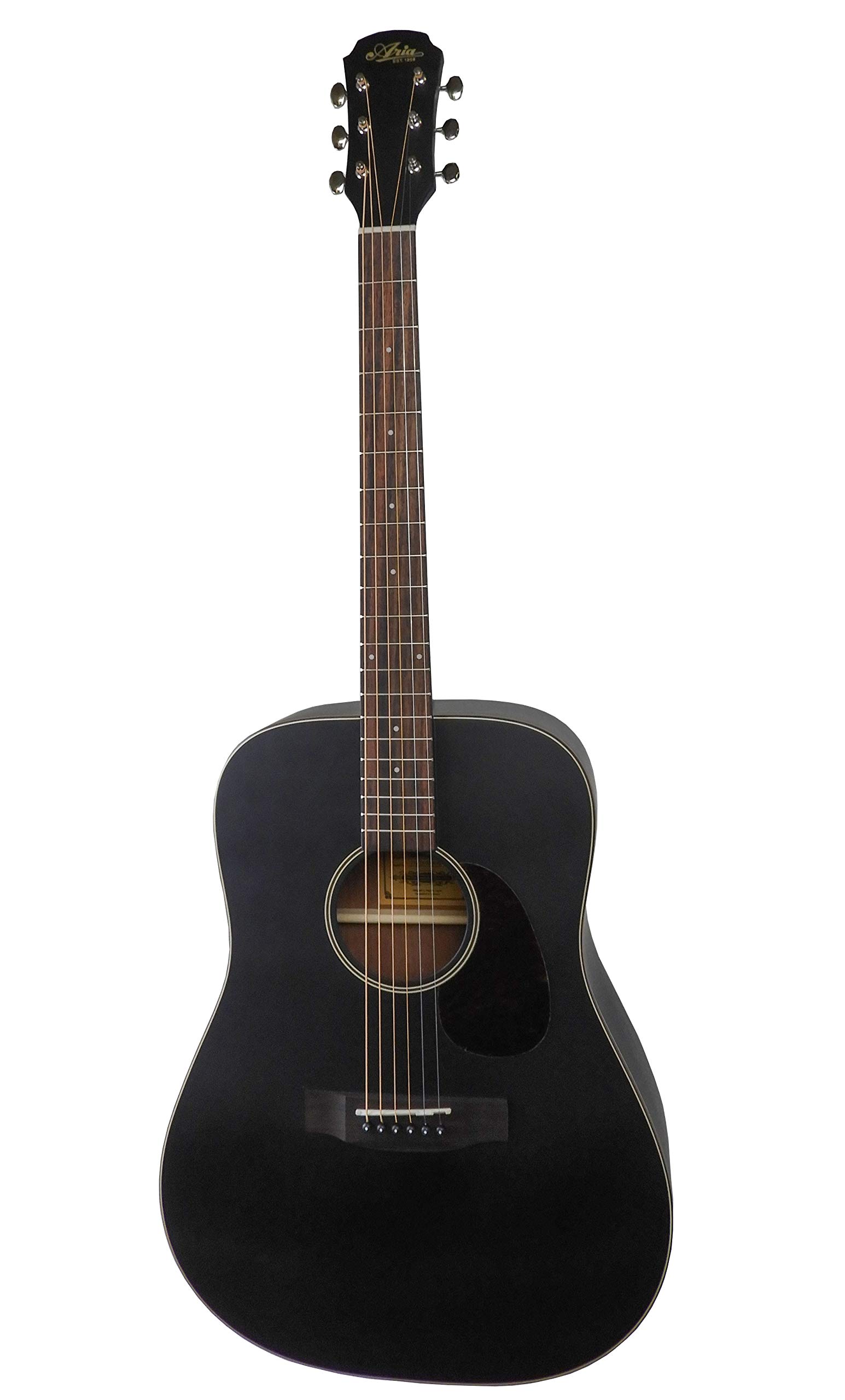 Aria Dreadnought アコースティックギター セットAF-25N Aria